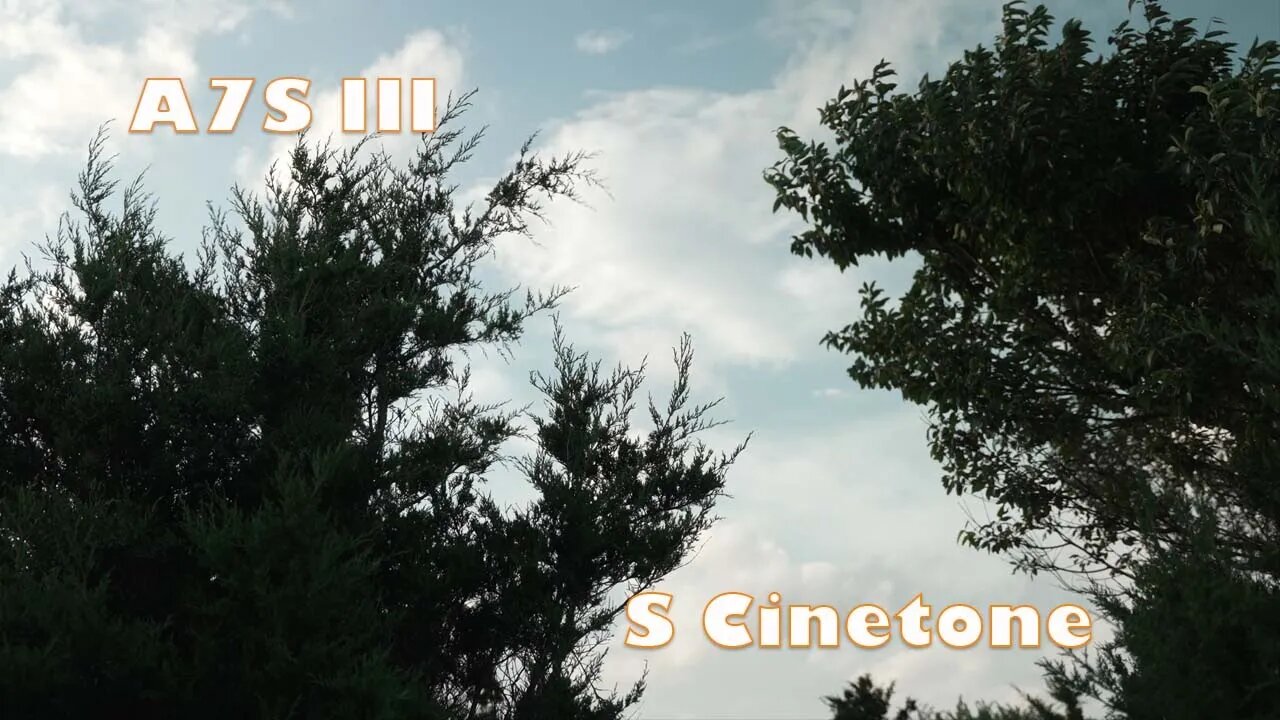 Sony A7s III S cinetone test 4K.