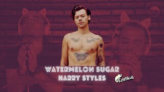 WATERMELON SUGAR - HARRY STYLES (EDU ECLÉTIKU)