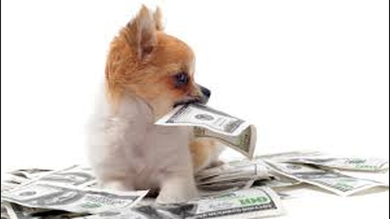 So Many Lies - How Do You Get The Truth?