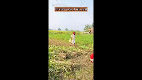 sarpanchi