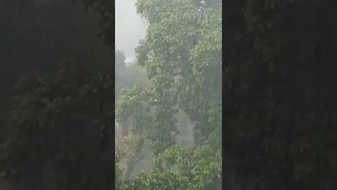 ২৫ বছরের ইতিহাসে বাংলাদেশে আজ রেকর্ড পরিমানে বৃষ্টি হল