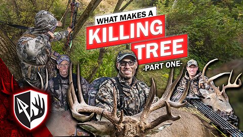 What Makes a Killing Tree - Part 1