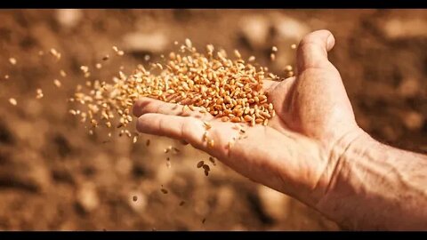 Parable of the seed