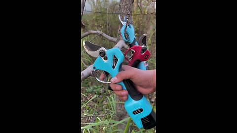 Tree cutting