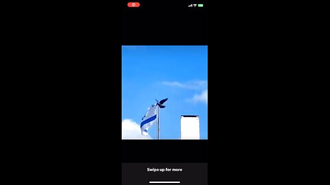 Even the animals hate Israel