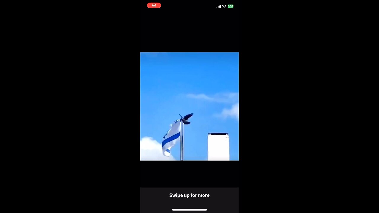 Even the animals hate Israel