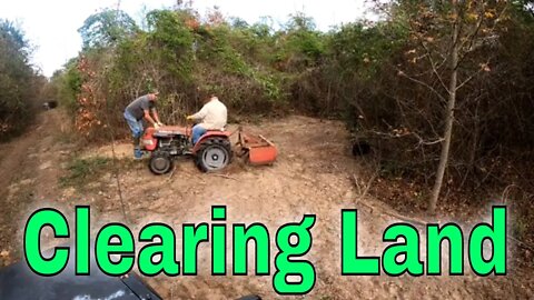 Cleaning Land for Deer Hunting