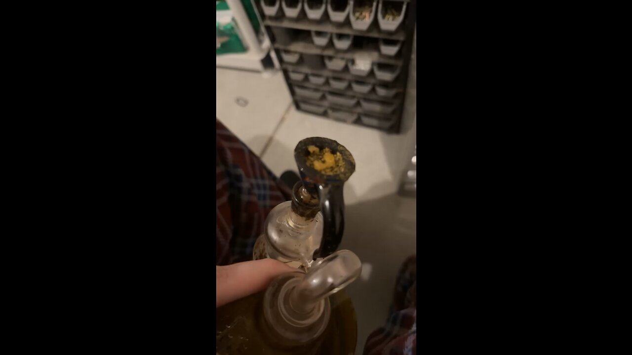 Day 53 pt2 Rip Roach :)