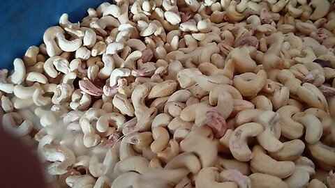 cashew