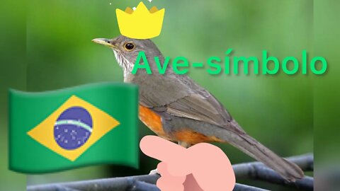 Ave-Símbolo do Brasil /SABIÁ LARANJEIRA