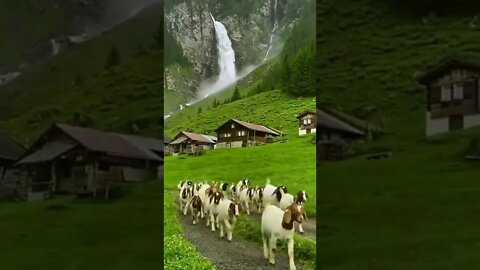 Amazing views video