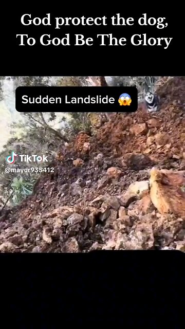 - Title: Miraculous Dog survival From Landslide!
