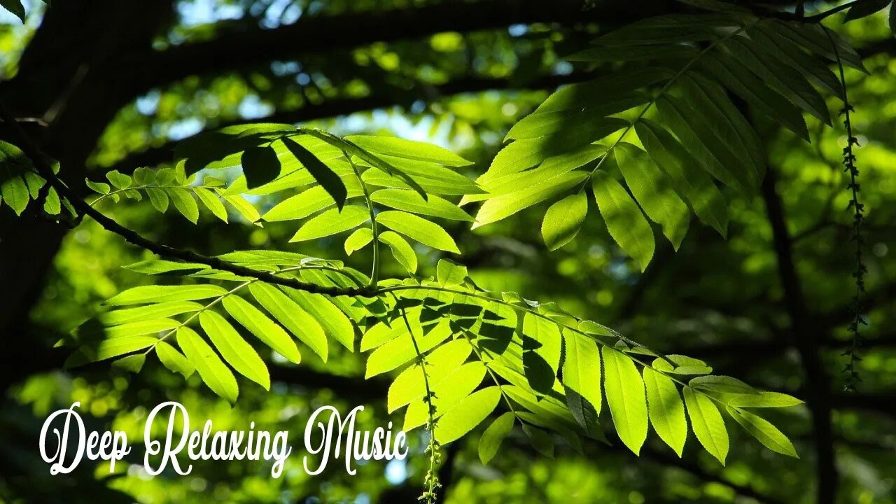 Relaxing Piano Music, Soothing Instrumental Music, Study Music ⚧ Calming Music