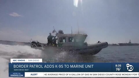 San Diego Border Patrol adds K-9s to Marine Unit