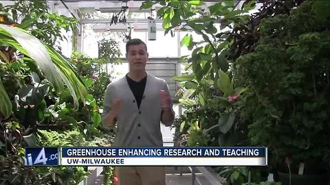 UWM Greenhouse enhancing research and teaching