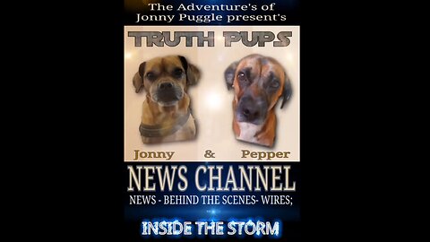 Truth Pups - toiminta kuliseissa (suomiteksti)