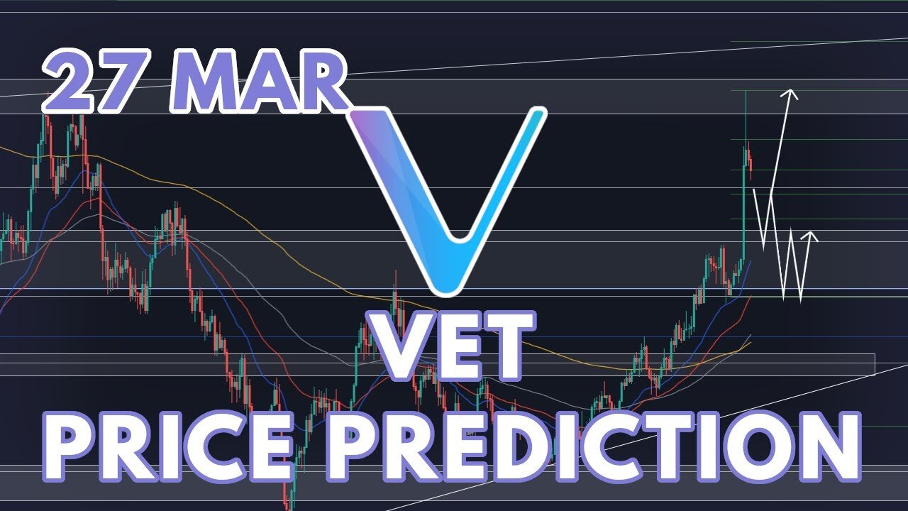 THE VET (VECHAIN) PRICE PREDICTION & ANALYSIS FOR 2024!