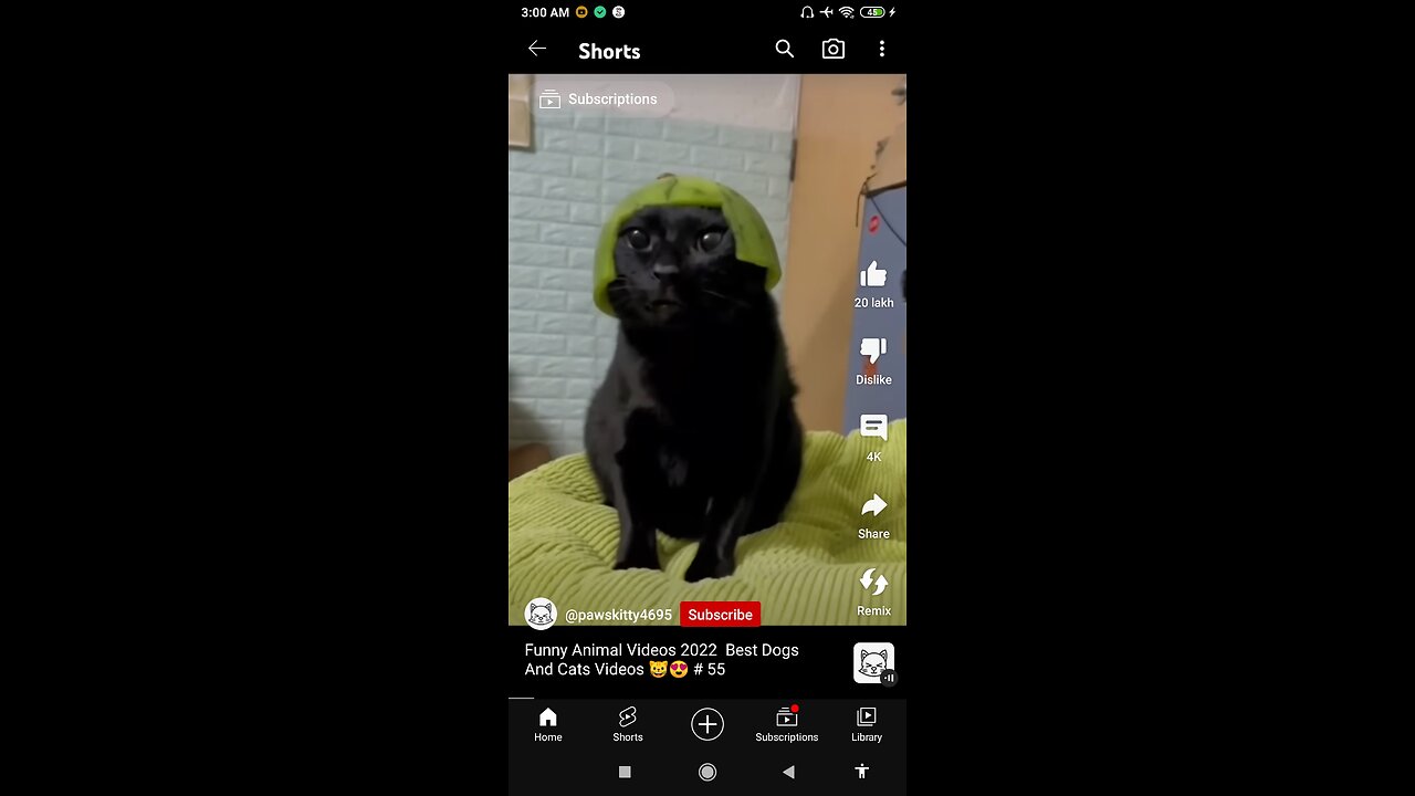Very funny Cat & Dog compilation 😂🤣