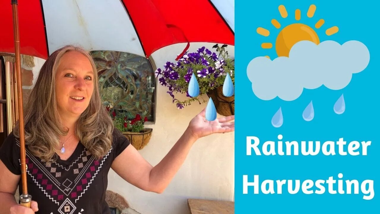 RAINWATER HARVESTING ~ A Tour of Our Home’s System