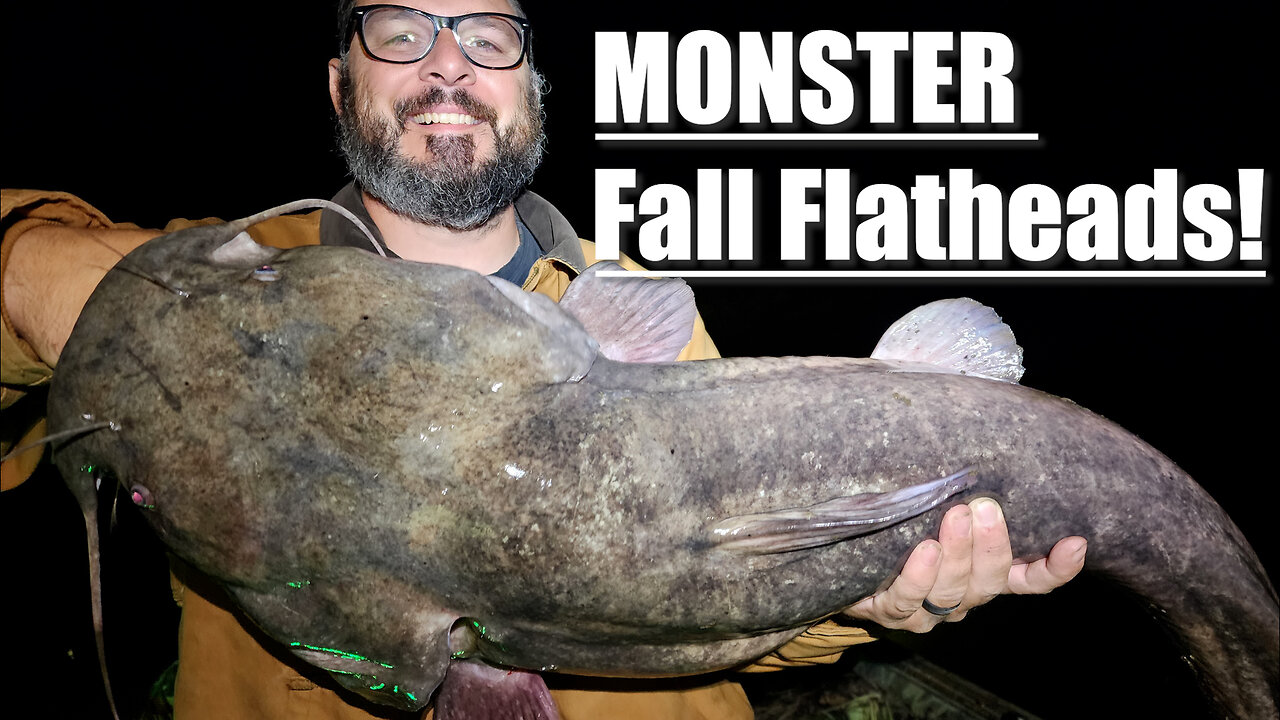 Catching HUGE Flatheads on Diddy Poles || Fall Flathead Fishing On The River