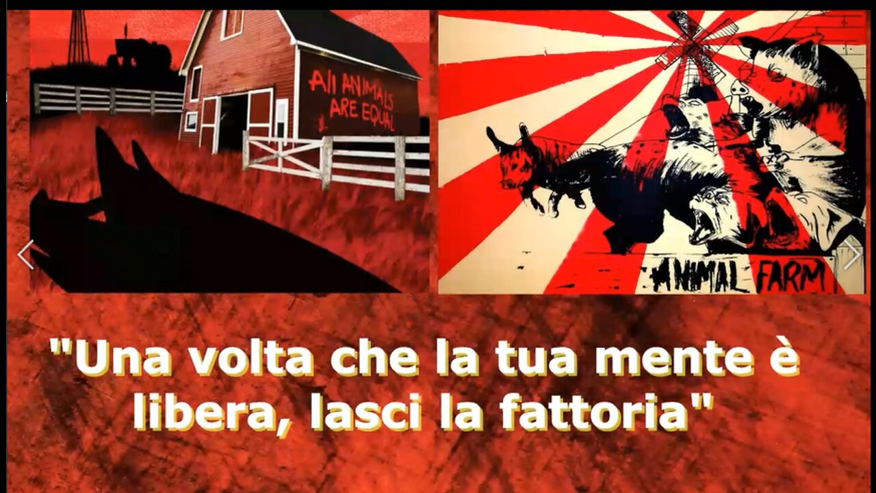 "Una volta che la tua mente è libera, lasci la fattoria"