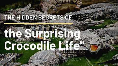 Interesting Facts About Crocodiles: Get Closer to the Fearsome River Predator"