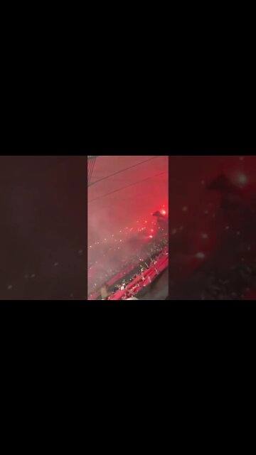 QUE TORCIDA É ESSA !!!