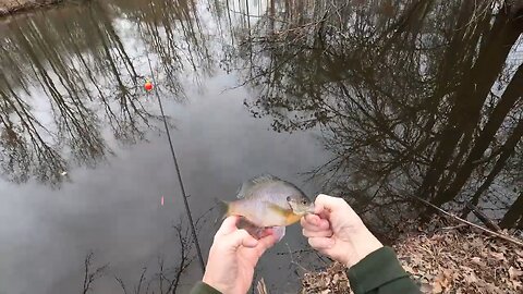 Super Bowl Sunday Was Crappie!