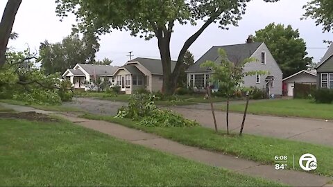Checking Berkley's response to storm damage