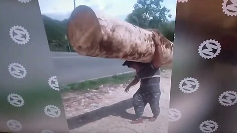 Are you bored ? have a bad day? Searching Something Funny? Unbelievable Caught on Security cameras