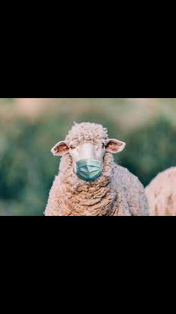 Mask Wearing FOREVER!