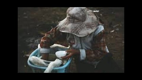 Fome e insegurança alimentar aumentam em crianças e jovens durante a pandemia