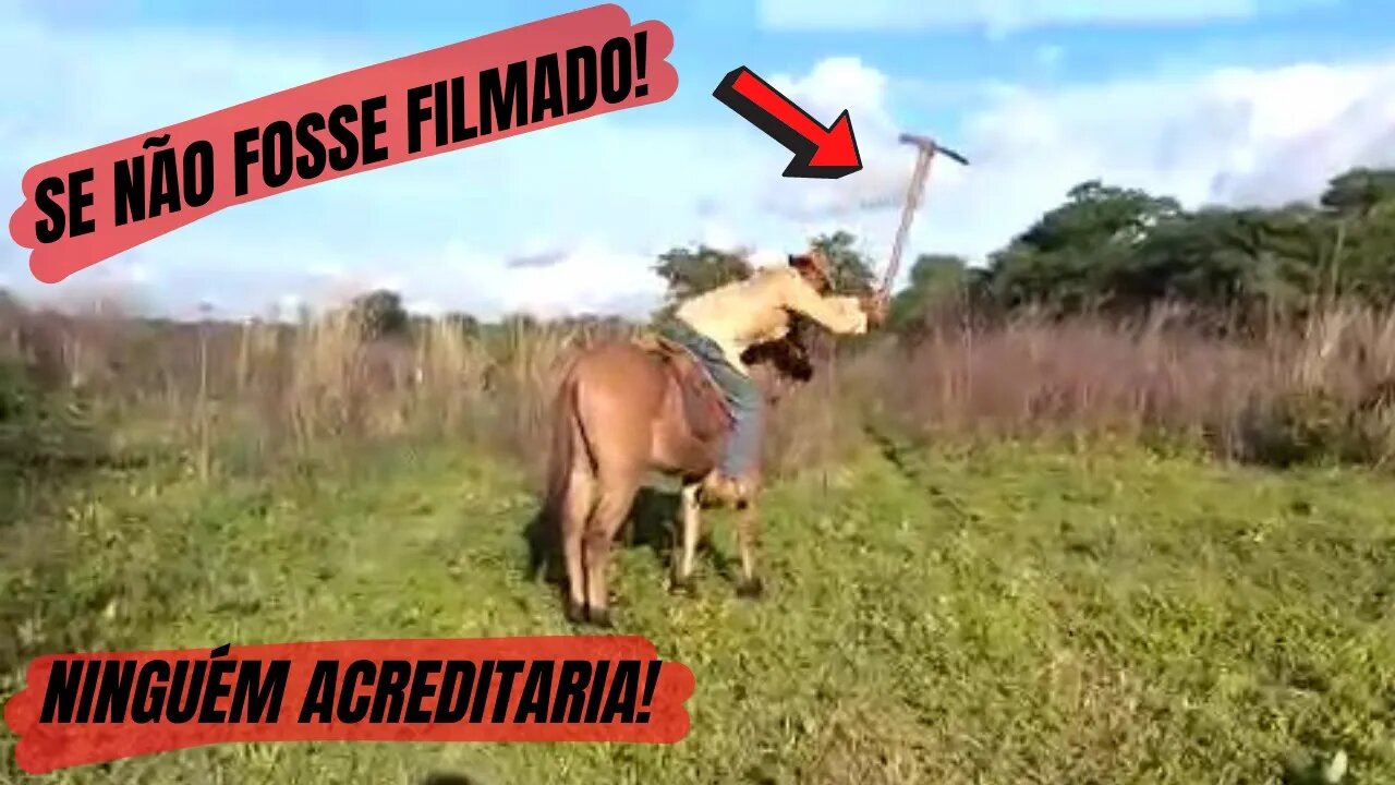 OLHA O QUE ELE CONSEGUE FAZER COM O BURRO CANGURU 😱!!!