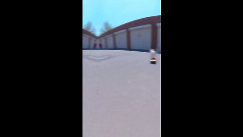 Skatedog 07