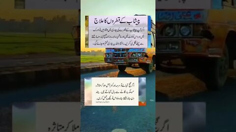 Amazing Facts l World Info Point l #shorts #trending #amazing #short #tips #shortvideo #health