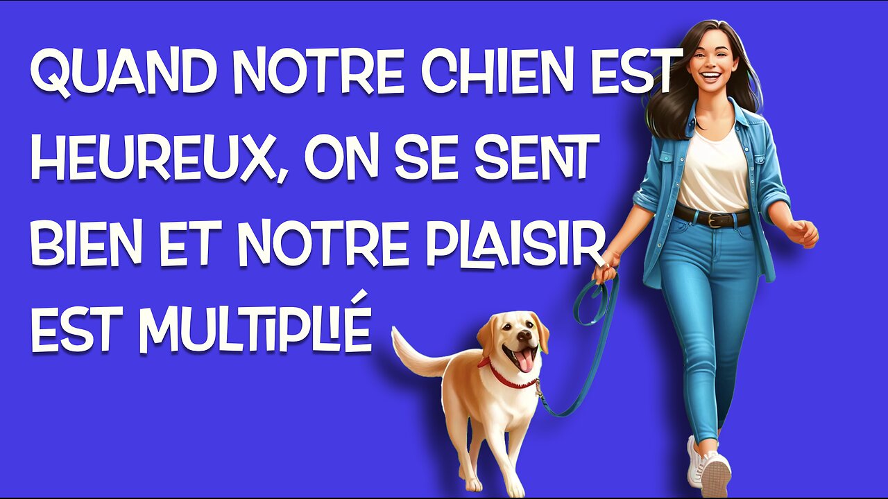 Balades Sereines : Maîtrise ton Chien Réactif en Marche