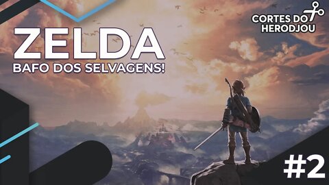HeroDjou jogando Zelda Breath of The Wild #2