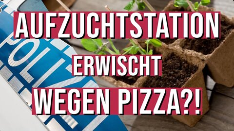 GROWER WEGEN PIZZA ERWISCHT UND IN GEWAHRSAM GENOMMEN 😱🤯🥦