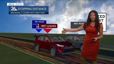 Breaking it Down with Brittney - Wet Leaves