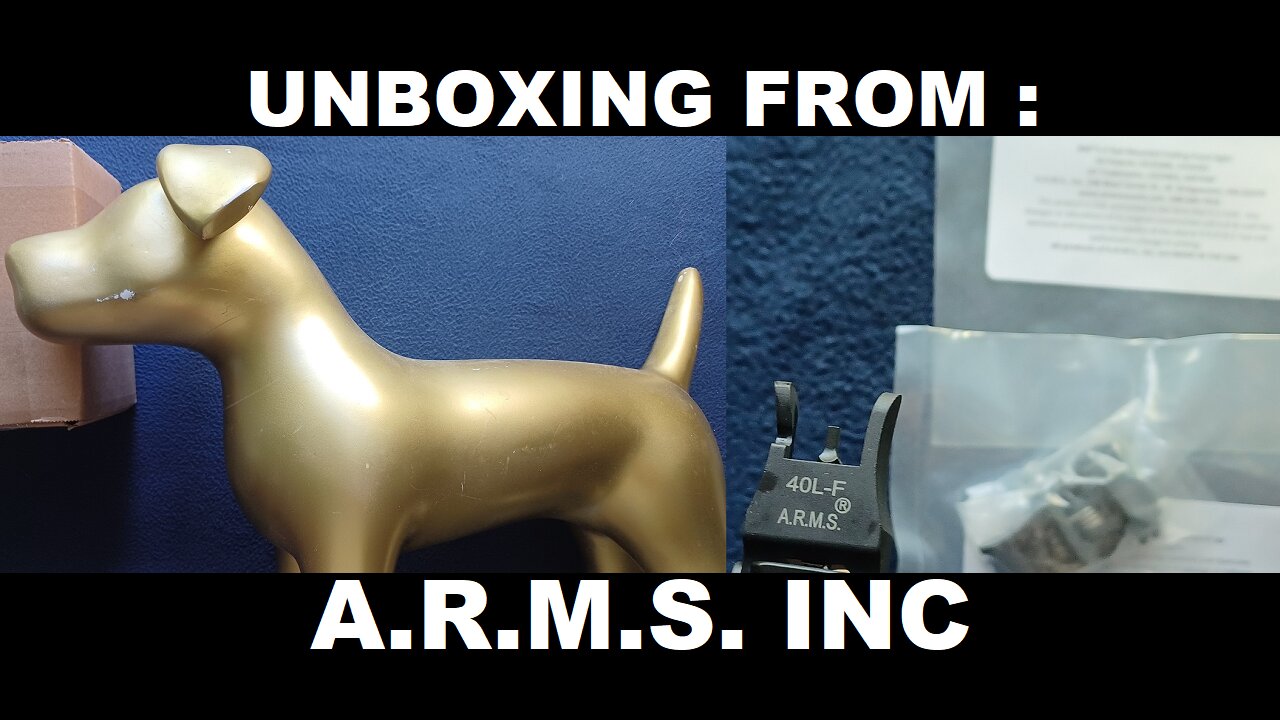 UNBOXING 204: A.R.M.S. Inc. #40L-F (Front flip up sights)