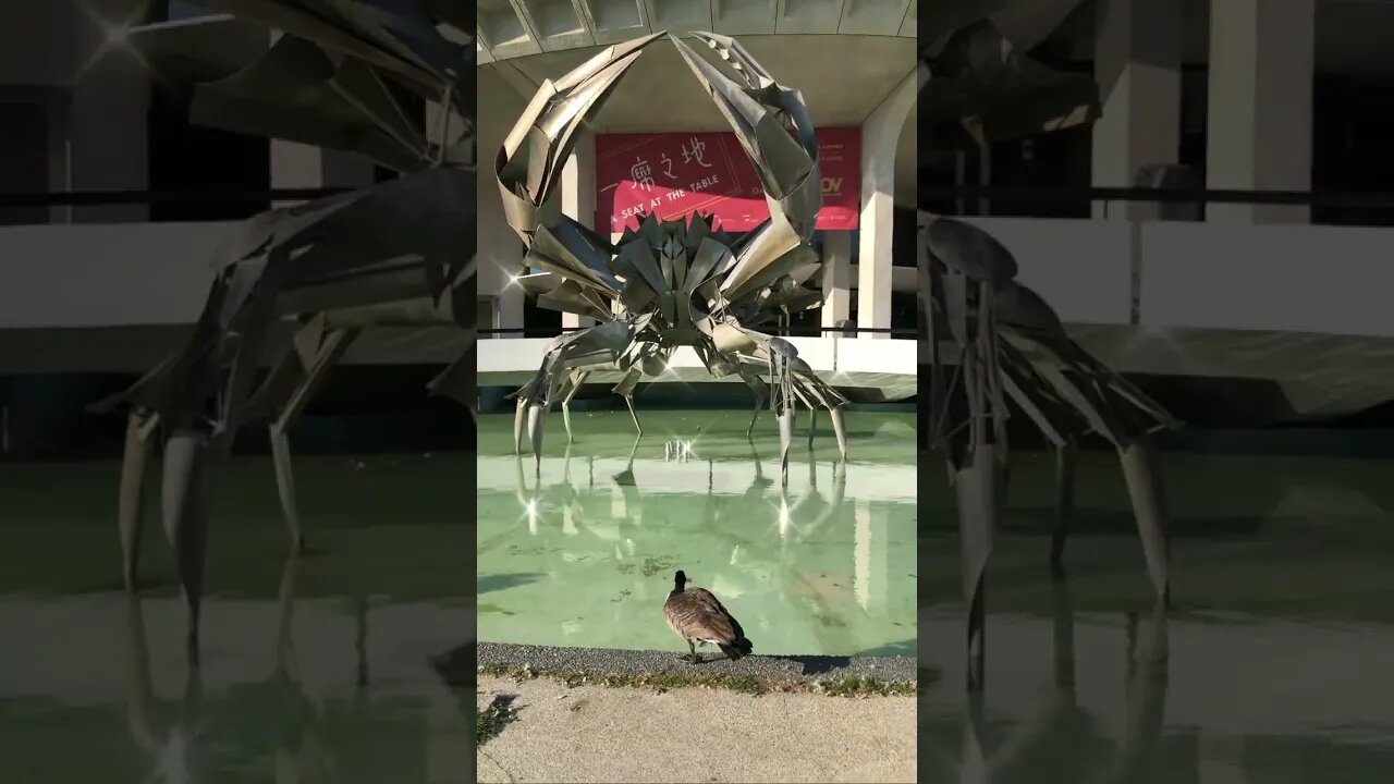 Jumbo Crab