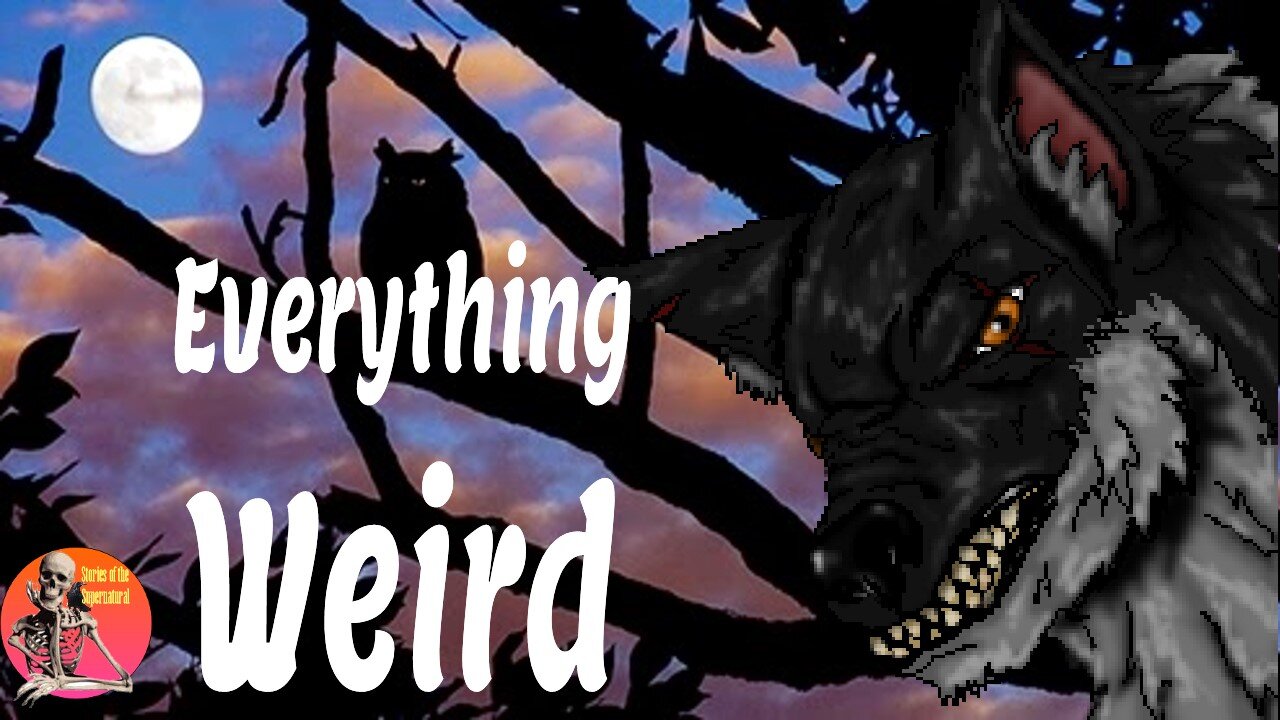 Everything Weird | Interview with Dave Spinks | Stories of the Supernatural