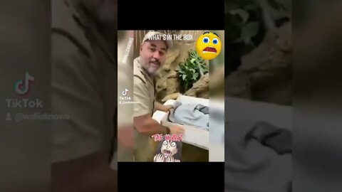 What's in the box?