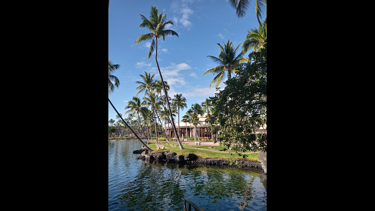 Big Island Vibes Hawaii