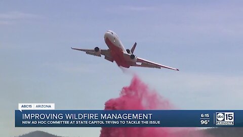 State Legislature evaluating wildfire response, protections