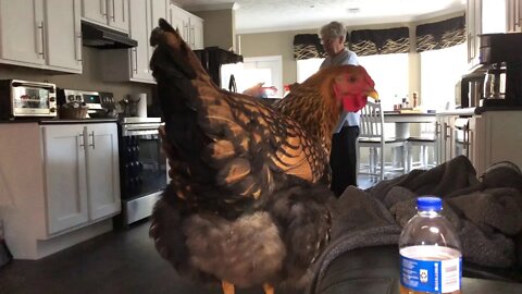 Angels or demons????