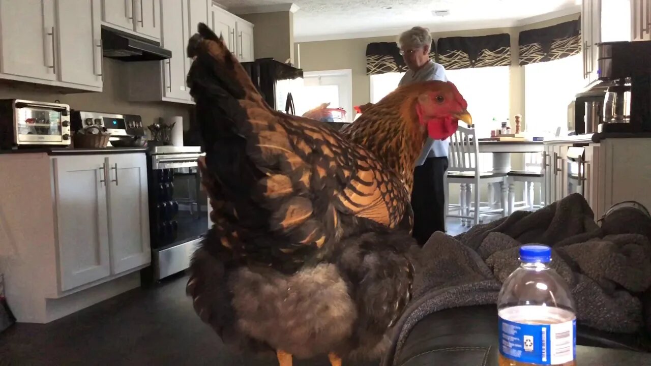 Angels or demons????