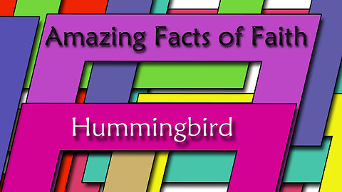 Amazing Facts Of Faith ~ Hummingbird