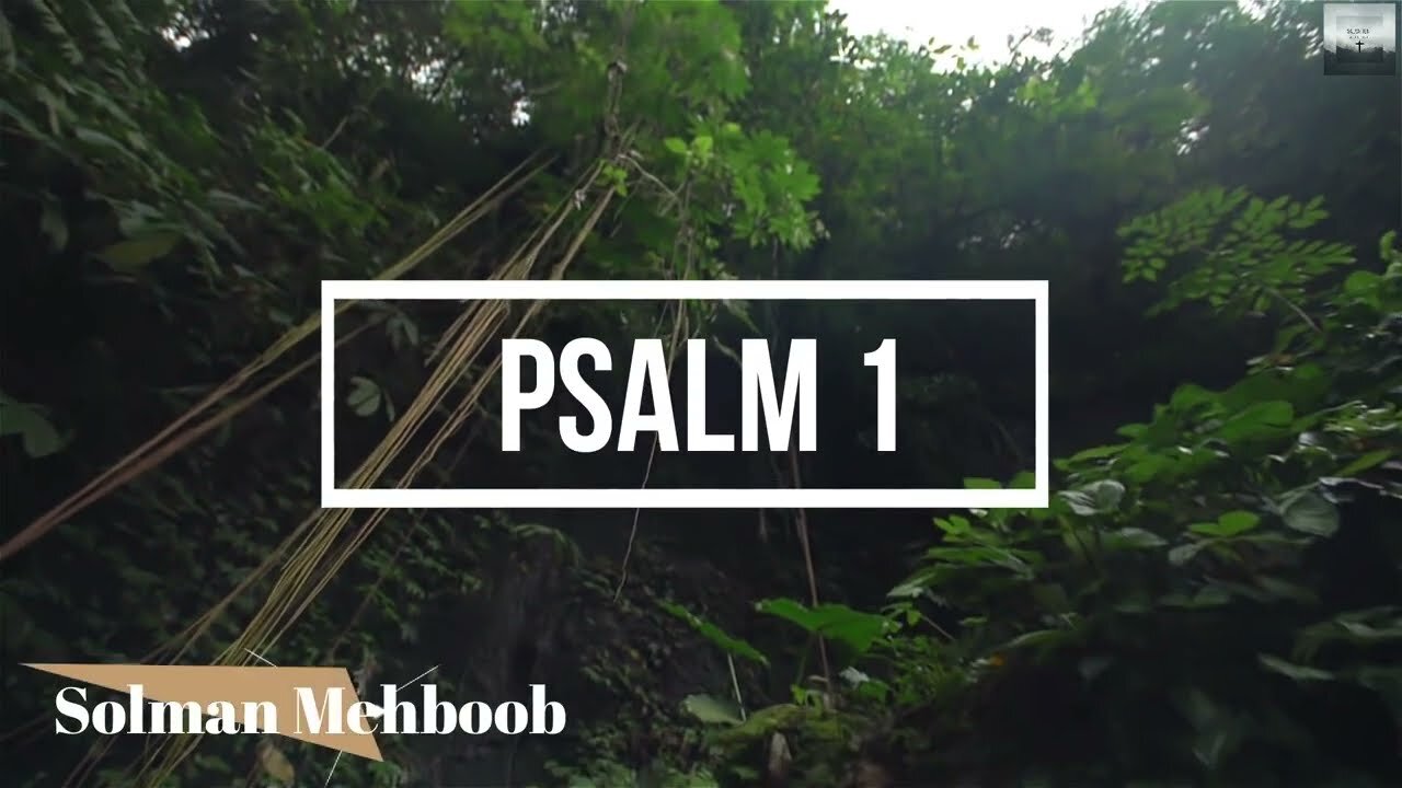 Psalm 1: The Way of the Righteous and the Wicked