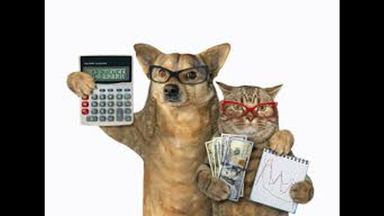Funniest Cats and Dogs | Funny Animal Videos #9 Funniest Cats and Dogs... #funnycats #funnydogs